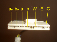 AS7